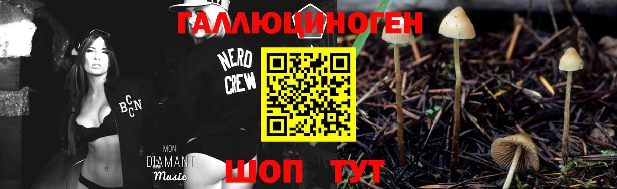 Псилоцибиновые грибы ЛСД  Галлюциногенные грибы Psilocybine cubensis  Вход с VPN  Псков 